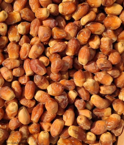 قیمت خرمای زاهدی + خرید باور نکردنی